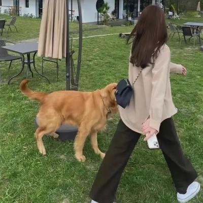 卧虎行动